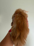 Load image into Gallery viewer, Red Maine Coon Polydactyl male / Located in Ottawa area
