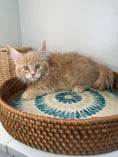 Load image into Gallery viewer, Red Maine Coon male / Located in Ottawa area
